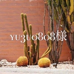 yu3u0808様 ✴︎✴︎オーダースモック✴︎✴︎