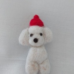 赤いベレー帽のトイプードル  羊毛ブローチ