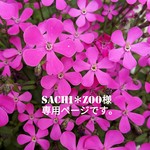 sachi✽zoo様専用ページ