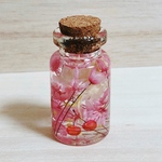 春のミニミニハーバリウム🌸さくらんぼ入り🍒