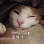 dkv22898様専用ページ