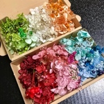 ハーバリウムボールペン レジン ハーバリウム花材 ドライフラワー 花材セット6色2BOX