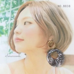 No.B838 お洒落な ダブルリング❁⃘べっ甲 ピアス