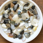 30ｇ/貝殻の自然な光沢が美しい。シックな大人カラー/シェルチップ/レジン・ネイル・空枠・デコレーションに！／型番8（30ｇ）