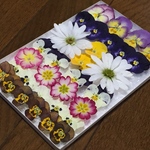 お花屋さんが作った本日のドライフラワーmix   c-⑨