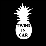 miki0039様専用ページです。TWINS IN CARステッカー 