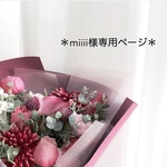 miiii様専用ページ