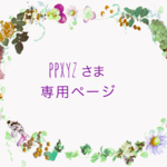 ppxyzさま専用 オーダー作品