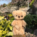 テディベア（ふわふわおちび）