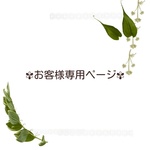 yuzraimeeg様専用ページ2