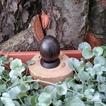 木のたまご  小   黒檀