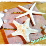 《再販》★大人気！スターフィッシュヘアピン ヒトデ