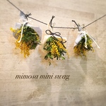＊* ミモザ スワッグ mini *＊