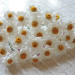 20本（＋おまけ3本） ☆ 花かんざし ドライフラワー