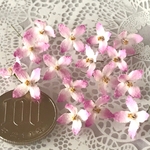ボロニア ピナータ ピンクの花 ドライフラワー 20個 ハーバリウム レジン封入
