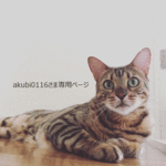 akubi0116さま専用ページ