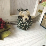 風呂敷犬　ミニチュアシュナウザー