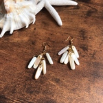 シェルフリンジピアス