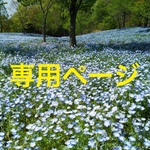 専用ページ