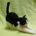 伸びの～び」黒猫ちゃん