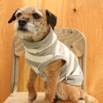 犬服　ダメージ風  タートル タンクトップ 　グレーボーダー