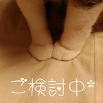 恐竜お名前はんこ