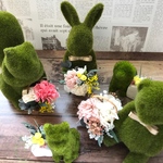 「数量限定品」モスラビちゃん flower