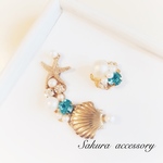 【再販10】シェル×スターフィッシュ イヤーカフ   ピアス イヤリング