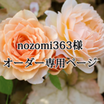 nozomi363様オーダー専用ページ