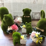 「数量限定品」ラブモス ちゃん flower