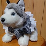 ＱTシュシュ(モノトーン)