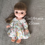 【受注製作】カリフォルニアブルームのワンピース  ソランちゃん、メルちゃん