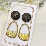 樹脂ピアス＊押し花レジン