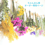 【ちゃんまん様オーダー専用ページ】