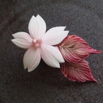 山桜 コサージュピン
