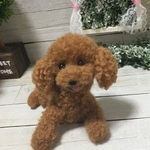 羊毛フェルト トイプードル