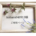 koharu040913様ご専用ページです