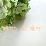 オーダーelmo…さま専用＊
