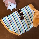 コーギー用Tシャツ**ピクニックボーダー