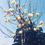 ニコ様オーダー専用ページ