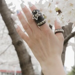アヴリルご購入品 世界の歌姫セット
