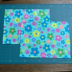 ランチョンマット 26㎝×35㎝ 2枚セット