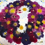♡new♡ 送料無料！¥1430 ♡たっぷり押し花セット♡
