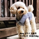 犬服♡ギンガムチェック柄 スリーブレスシャツ 