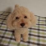 kyuuri64様ご依頼品 羊毛フェルト トイプードル  