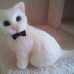 貴族ねこ