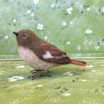 羊毛フェルト  ジョウビタキ　～渡り鳥～