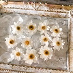 花かんざしドライフラワー10ヘッド❣️ハーバリウム花材ドライフラワー