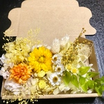 ミモザ&花かんざしSpringハーバリウム 花材ドライフラワー  花材セット