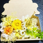 元気の出るイエロー花材セット ハーバリウム花材 ドライフラワー 花材